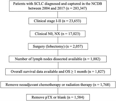 Clinical impact of number of lymph nodes dissected on postoperative survival in node-negative small cell lung cancer